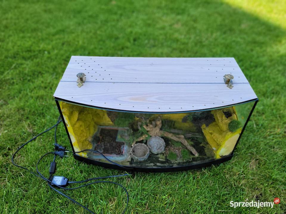 Terarium gekona Łódź