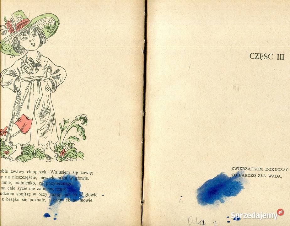 Pan Kotek był chory Stanisław Jachowicz Szczecin