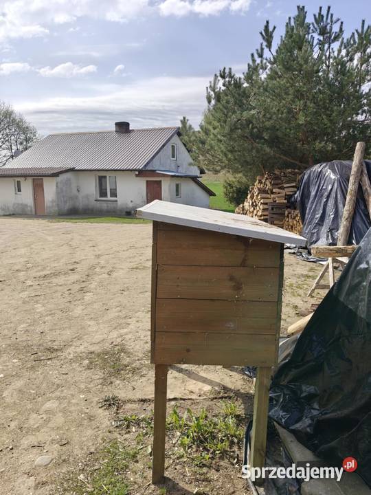 Używana klatka królików w stanie do sprzedania Gryzonie Suwałki sprzedam