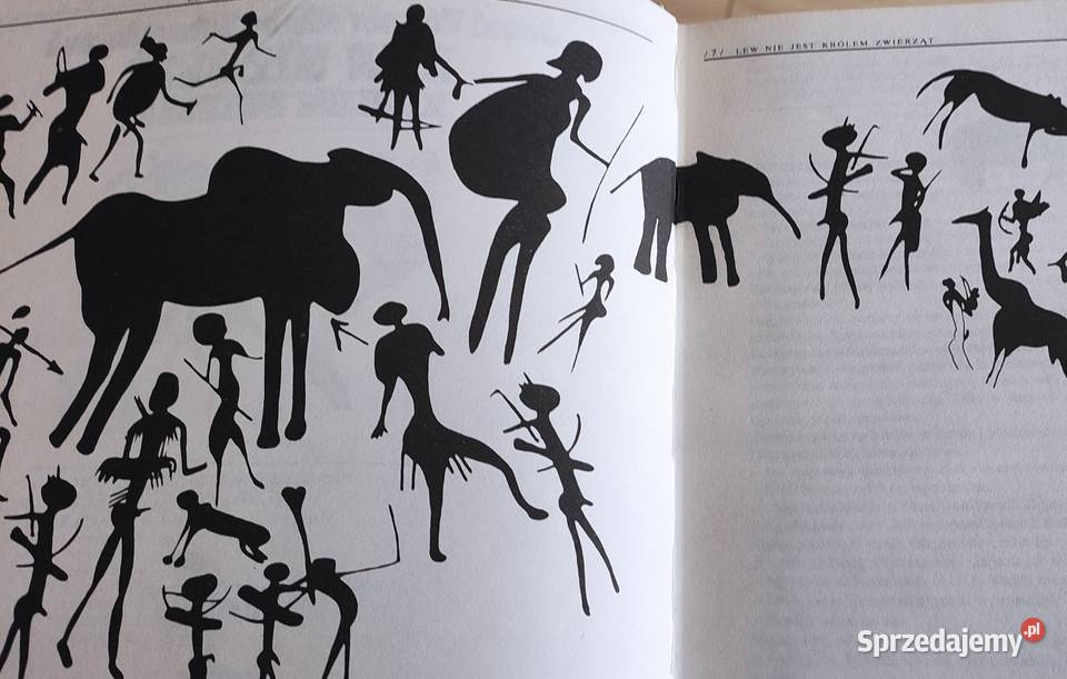 Album Lew nie jest królem zwierząt Gdańsk