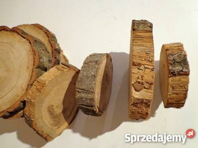 plastry drewniane Dąb pęknięty z ubytkami 2023 Rybnik sprzedam