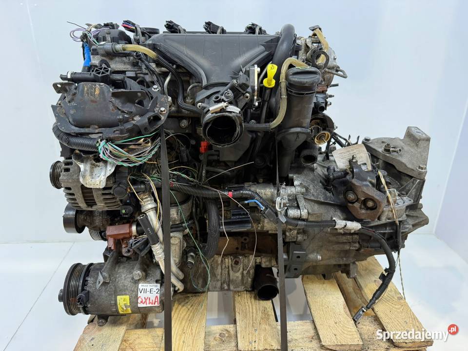 SILNIK G6DD Ford C C Focus MK2 20 TDCI 136 Chełm