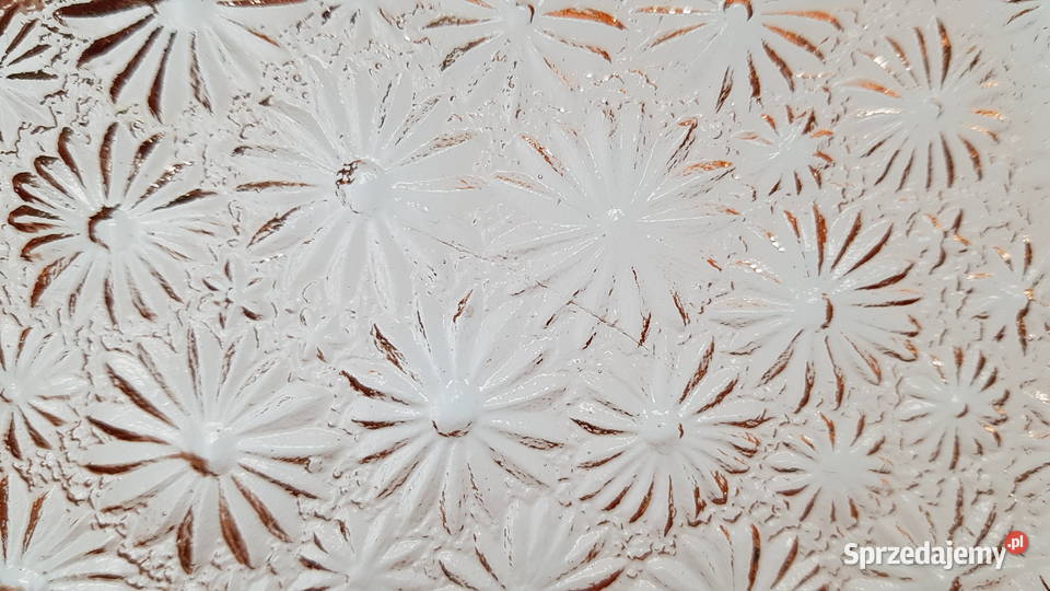 Talerz Stokrotki Primavera ok 23 Ząbkowice