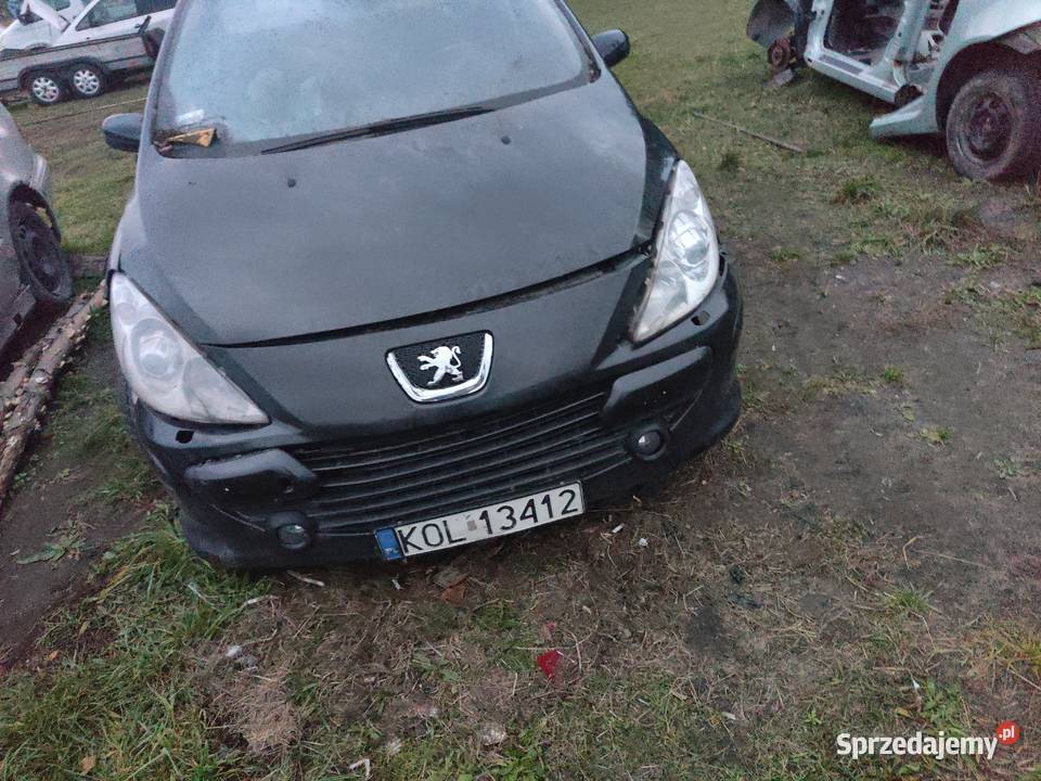 Peugot 307sw 20hdi 6 biegów panorama 2009 Olkusz sprzedam