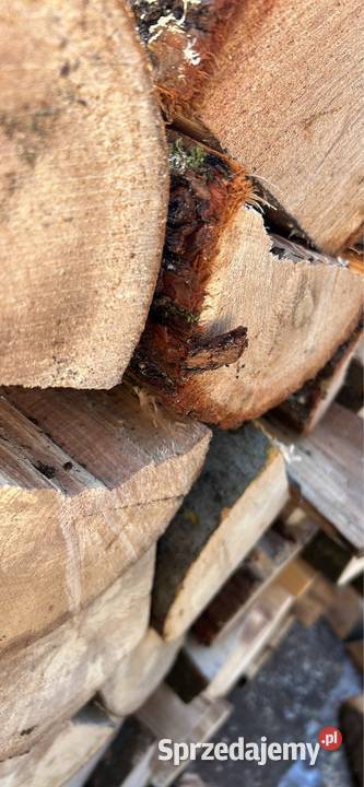 Drewno kominkowe i opałowe Zielona Góra
