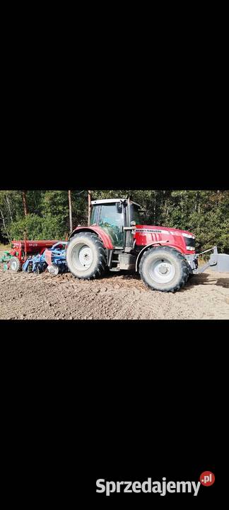 Massey Ferguson 7615 Grabów Szlachecki