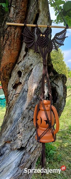 Kwietnik nietoperz makrama Kraków