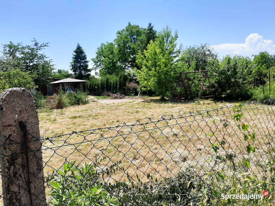 Działka rod Pyskowice konwalia strony Wynajem sprzedam