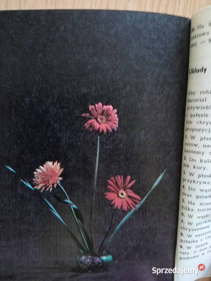Ikebana 1987r Dąbrowa Górnicza