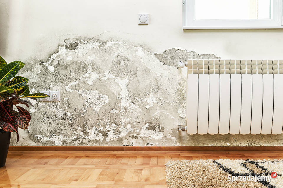 Iniekcja Krystaliczna podciąganie kapilarne Gdańsk usługi budowlane