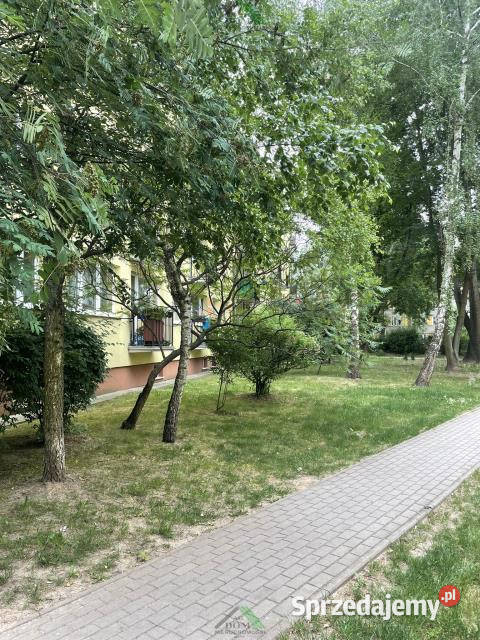 Mieszkanie sprzedam Pruszków 483m2 3 pokoje mazowieckie