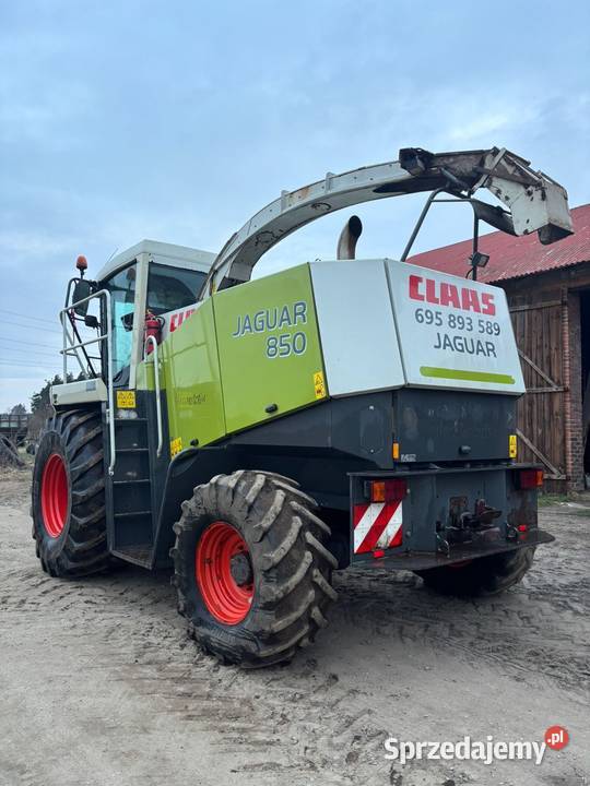 Sieczkarnia Claas Jaguar 850 wielkopolskie Kraszewice