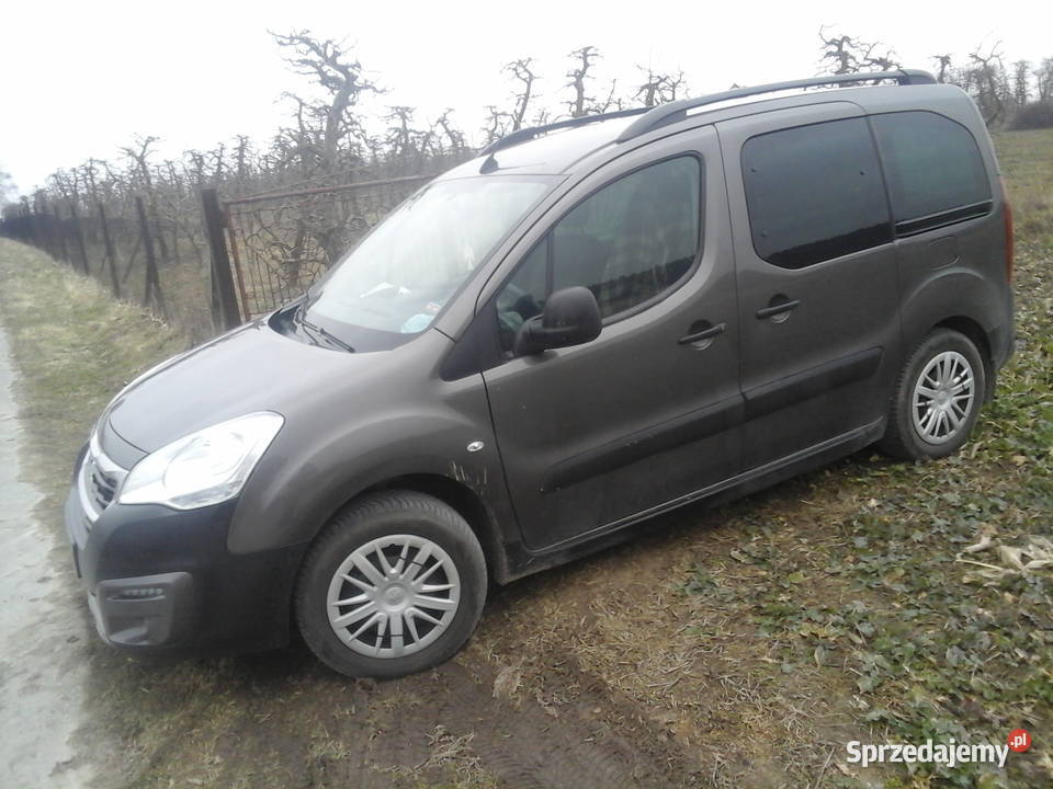 Sprzedam Peugeot Partner Tepee Nowa Wieś