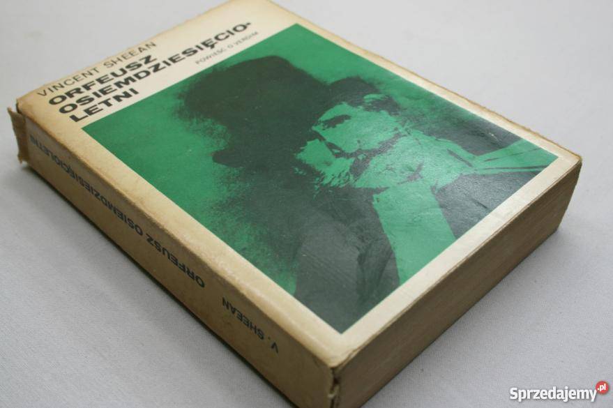 ORFEUSZ OSIEMDZIESIĘCIOLETNI Sheean FA zachodniopomorskie Goleniów