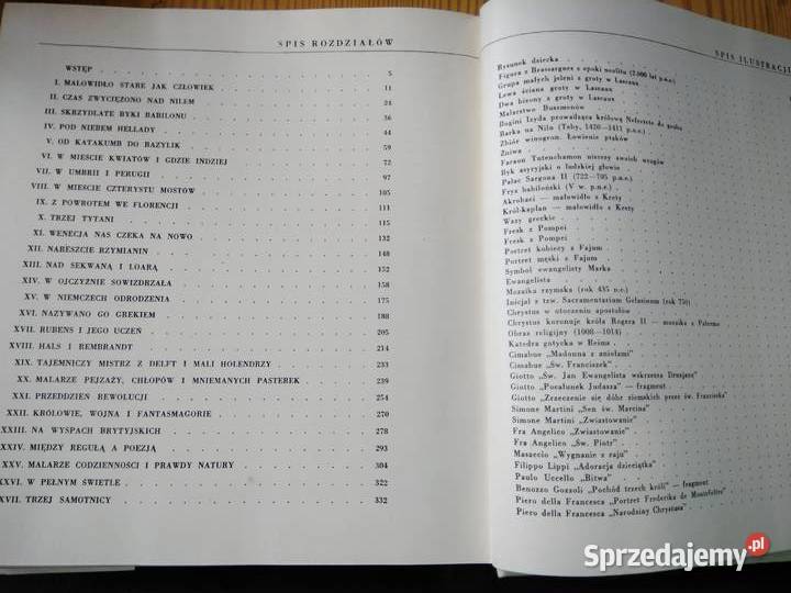 Pierwsze wydanie książki Witz Oko i dłoń malarza Antykwariat Warszawa