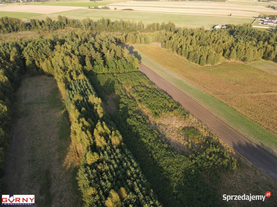 Grunt 29700m2 Mąkolice Sprzedaż łódzkie