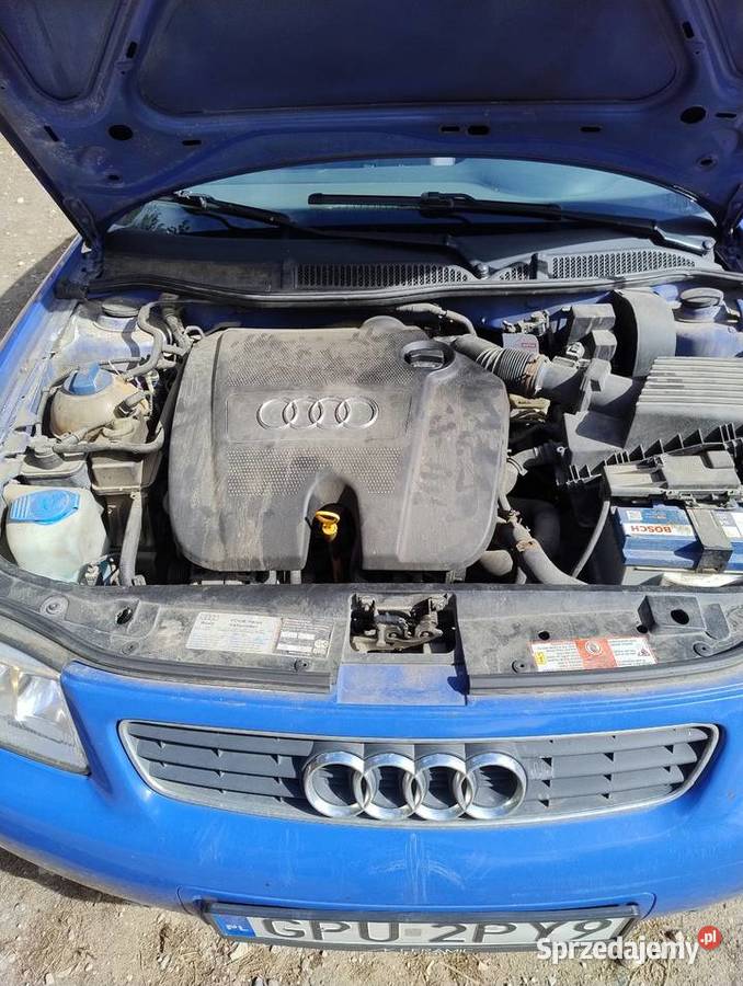 Audi A3 8l 99r Wierzchucino