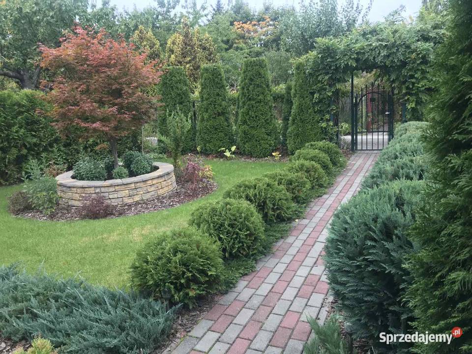 Super działka ROD Warszawa