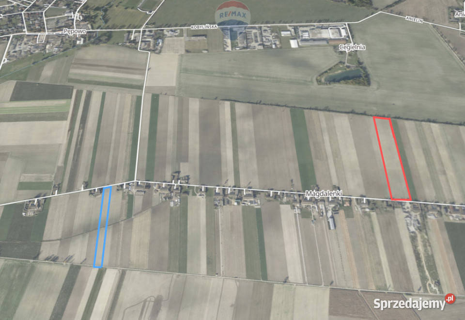 Grunty Rolne 580 Ha Magdalenki Wlkp Klasa III wielkopolskie