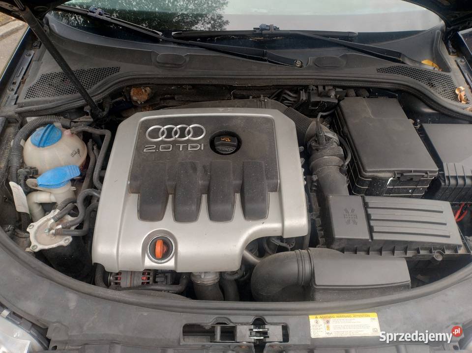 Audi A3 8p 20 TDI 20034r Klima 3 Lata w 1 Wł Elbląg