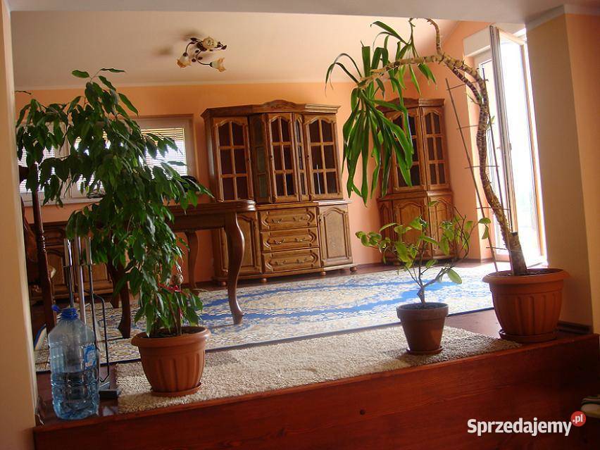 Duża Stylowa Witryna 180 Komoda Bekas Złoty Dąb śląskie Gliwice sprzedam