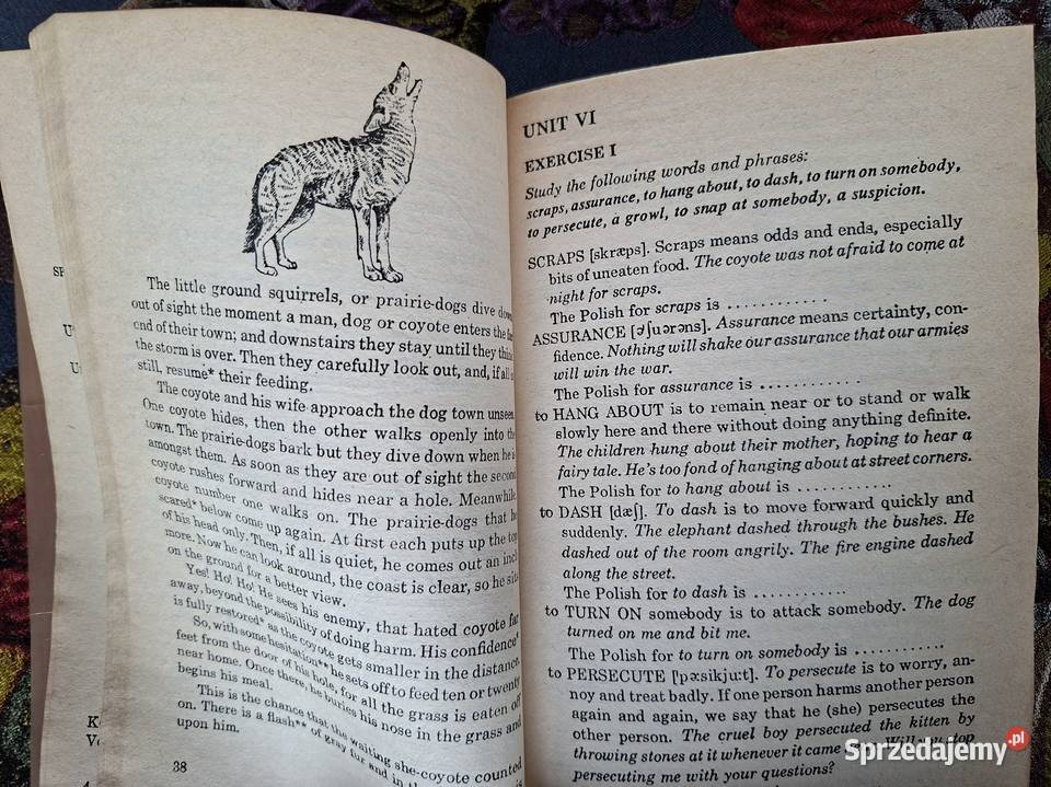 Read and Enjoy Bogdan Krakowian małopolskie