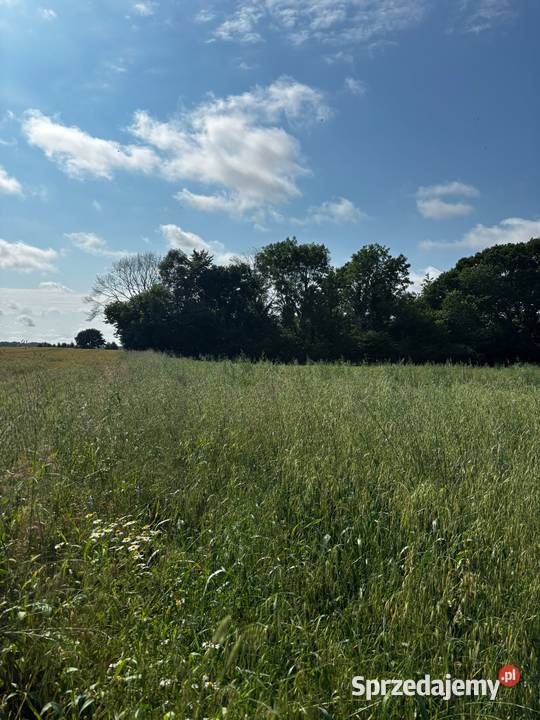 DZIAŁKA ROLNA SIEDLISKOWA ŚWIELUBIE GMINA DYGOWO 42zł/m2 sprzedam