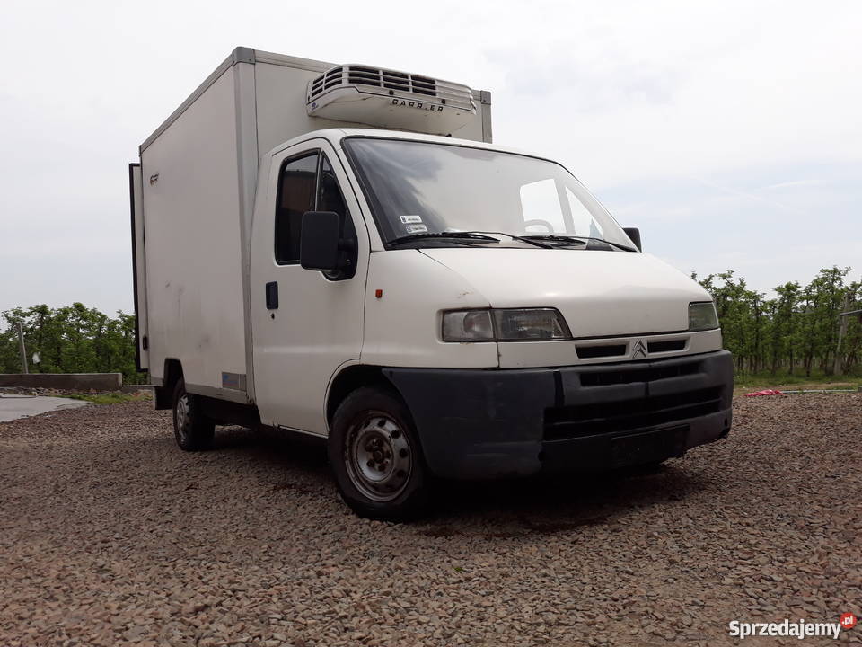 Citron Jumper 25D chłodnia Raciechowice