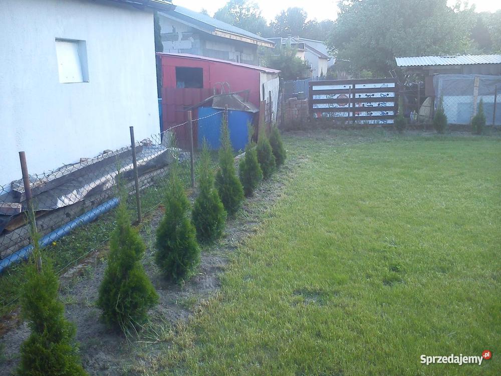 Działka rekreacyjna ROD Wudzyn Wudzyn