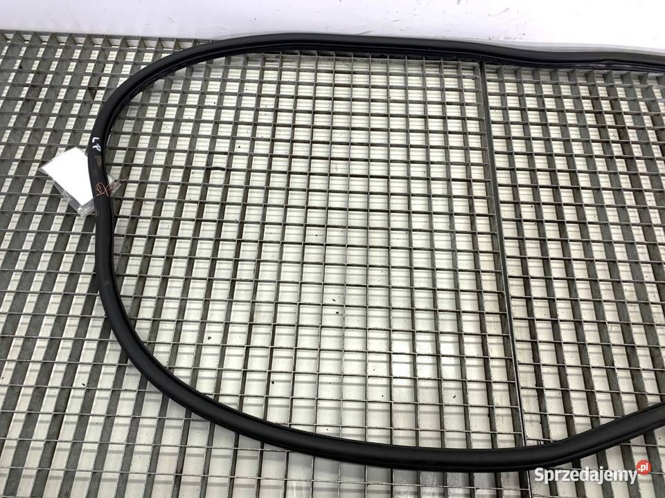 USZCZELKA DRZWI PRZÓD LEWA VW TIGUAN SUV