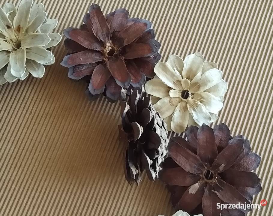 Szyszka Szyszki Kwiat Decoupage Natura Zestaw 10 Rękodzieło Gdańsk