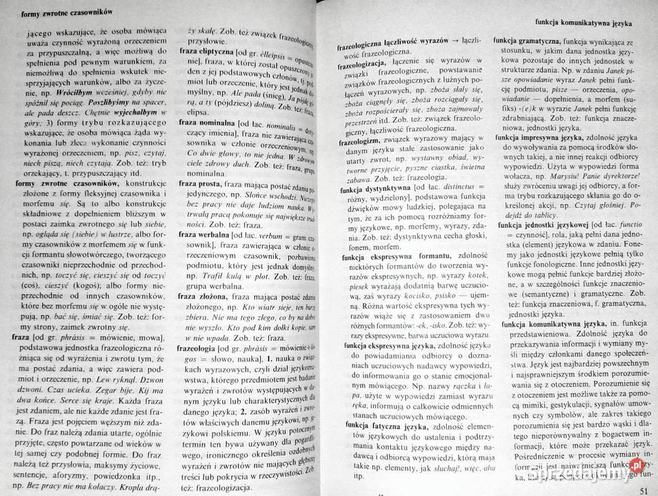 Słownik szkolny Nauka o języku Jan Malczewski Chełm