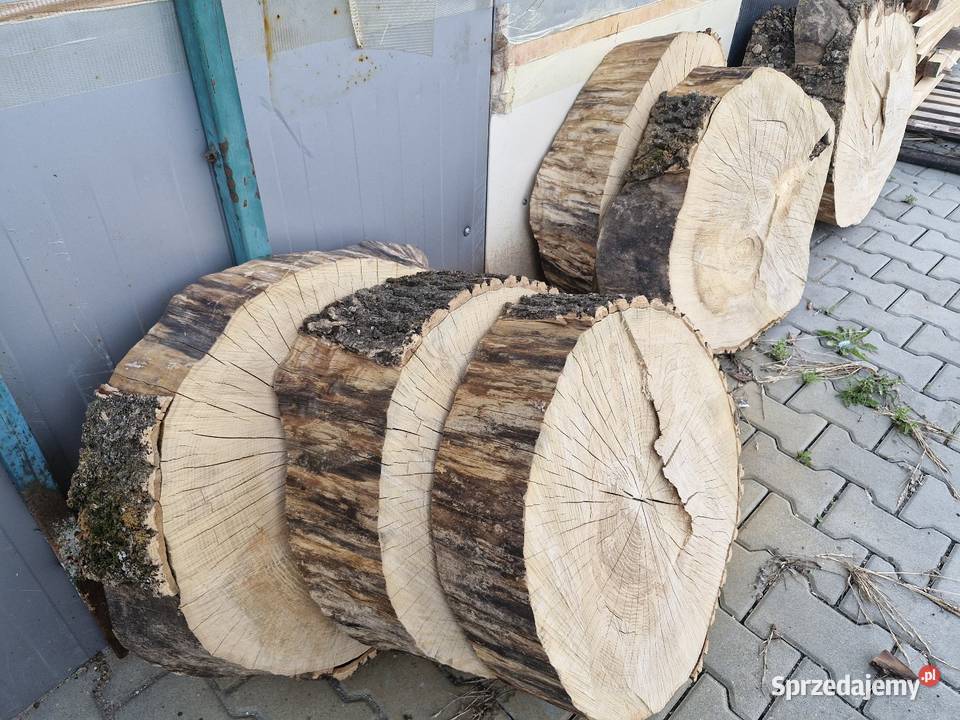 Plastry jesiona jesion na stoliki Wiślica sprzedam