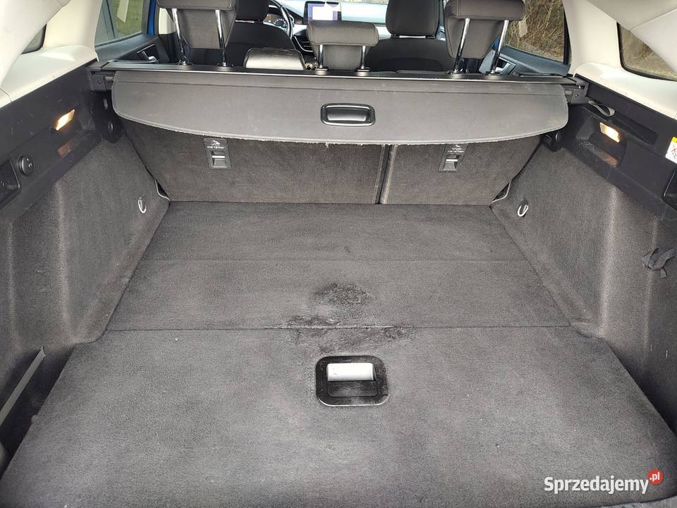 FORD FOCUS 15 TDCI wielkopolskie Leszno