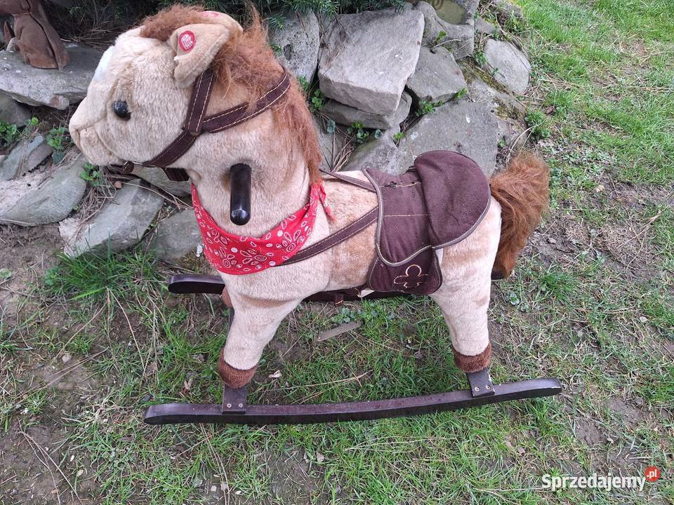 Konik na biegunach Kęty