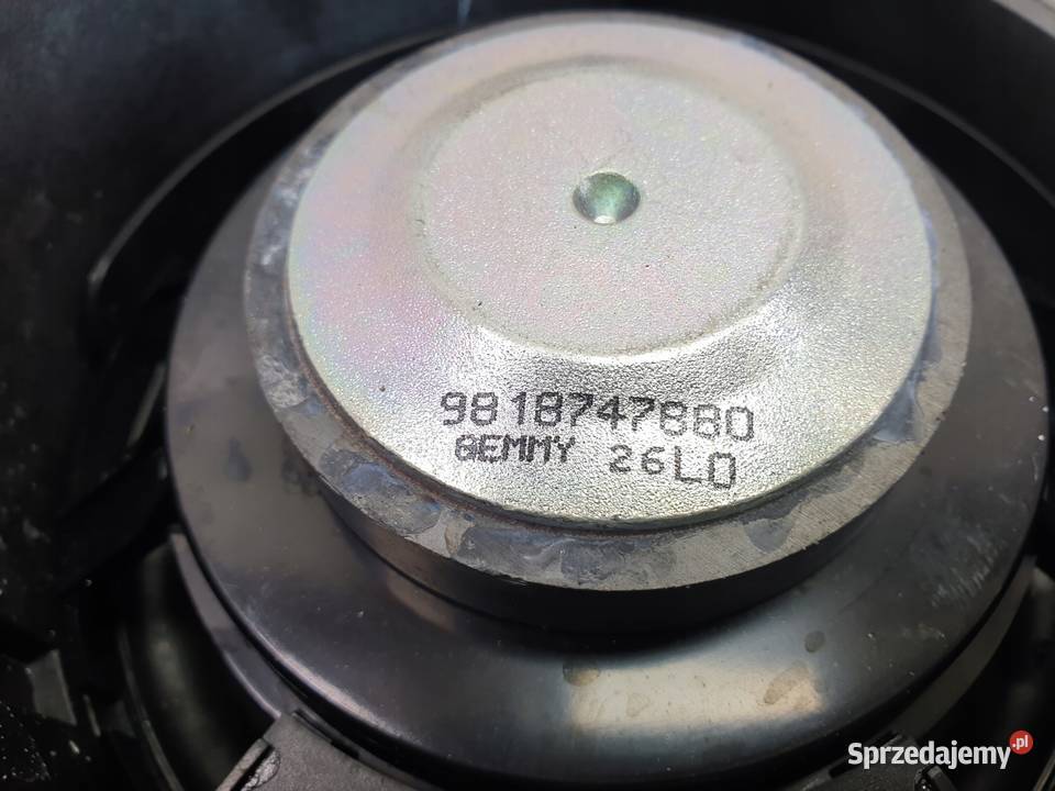 Opel Corsa F GŁOŚNIK DRZWI lewy przód 9823206980 Chełm