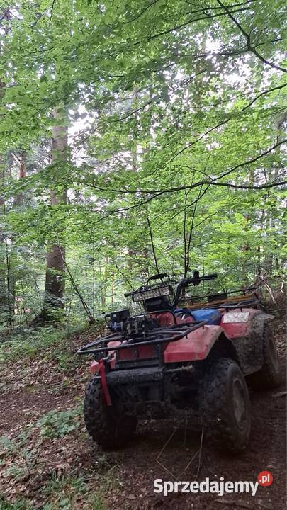 Suzuki ltf 250 podkarpackie Lesko