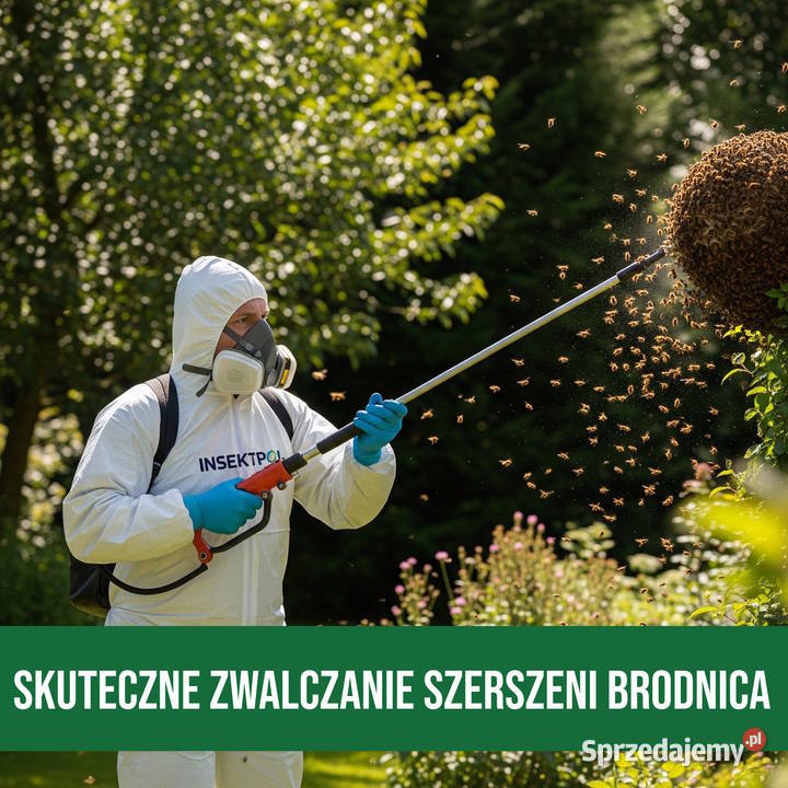 Zwalczanie Szerszeni Brodnica Usuwanie Gniazd ogród