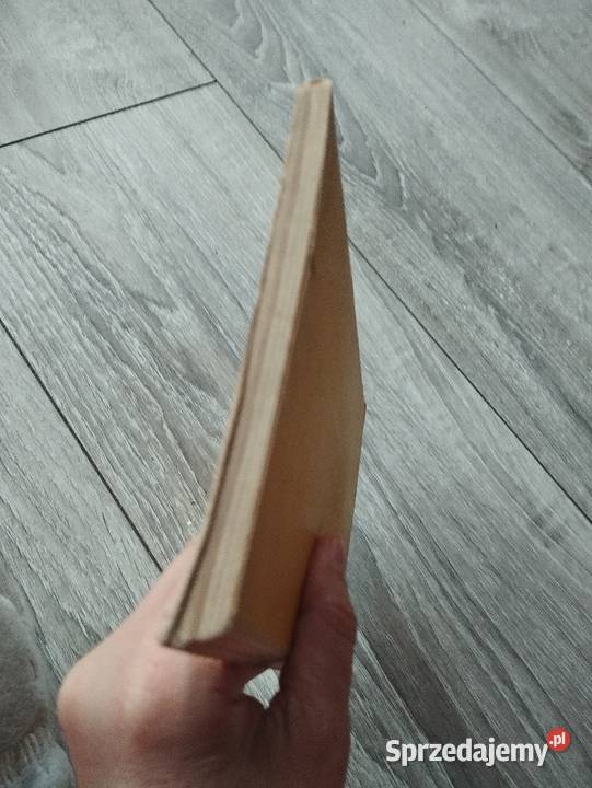 sędzia i jego kat durrenmatt Poznań