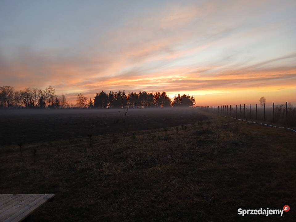 Nasutów Aleja Lipowa 2ha lubelskie