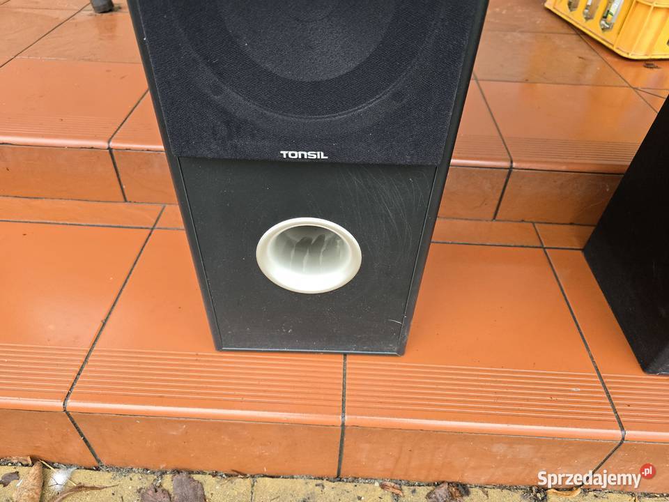 tonsil fenix front 100w 8ohm Chełm Śląski