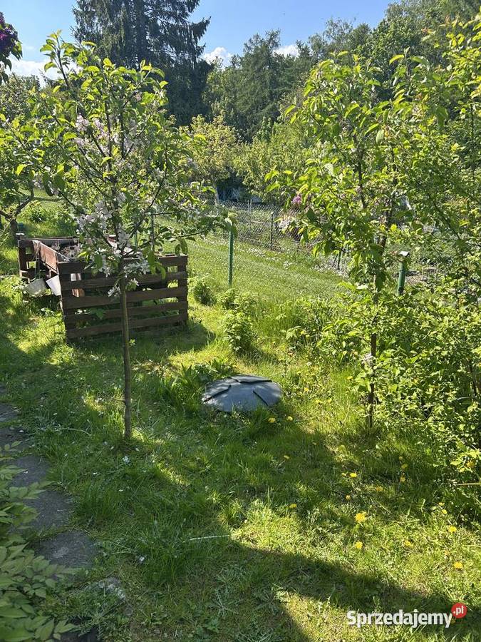 Sprzedam działkę ROD z murowanym domkiem Gdynia sprzedam