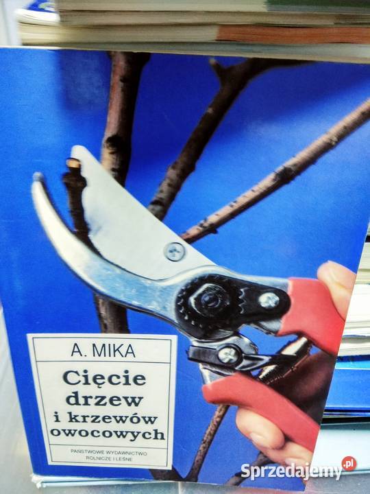 Cięcie drzew Mika szkółkarstwo Warszawa