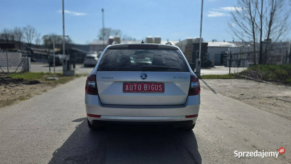 koda Octavia Dsg Duża Navi Bixenon III 2013 relingi dachowe Lębork