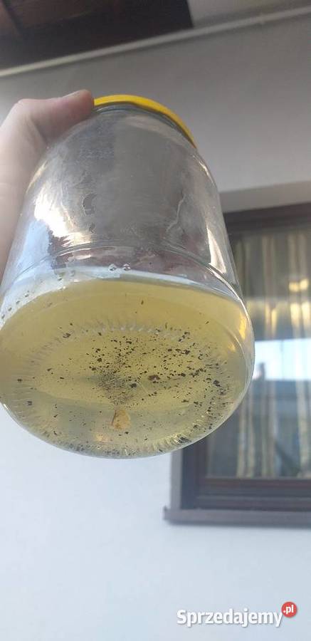 Czyszczenie wtryskiwaczy regeneracja lpg brc Skierniewice