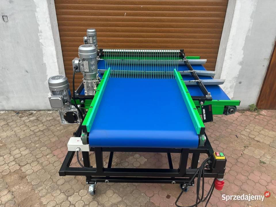 Maszyna do sortowania borówki Rogóźno