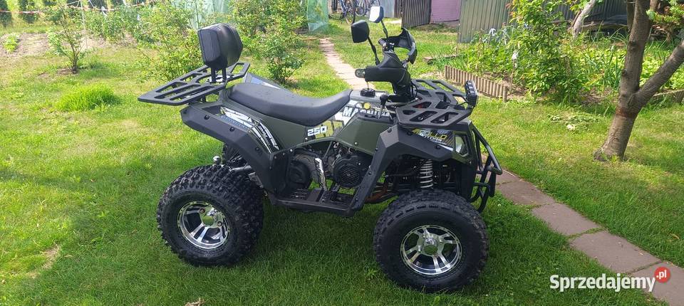 Quad Apollo Magnum 250 CC nowy dziecku idealny Sochaczew-Wieś