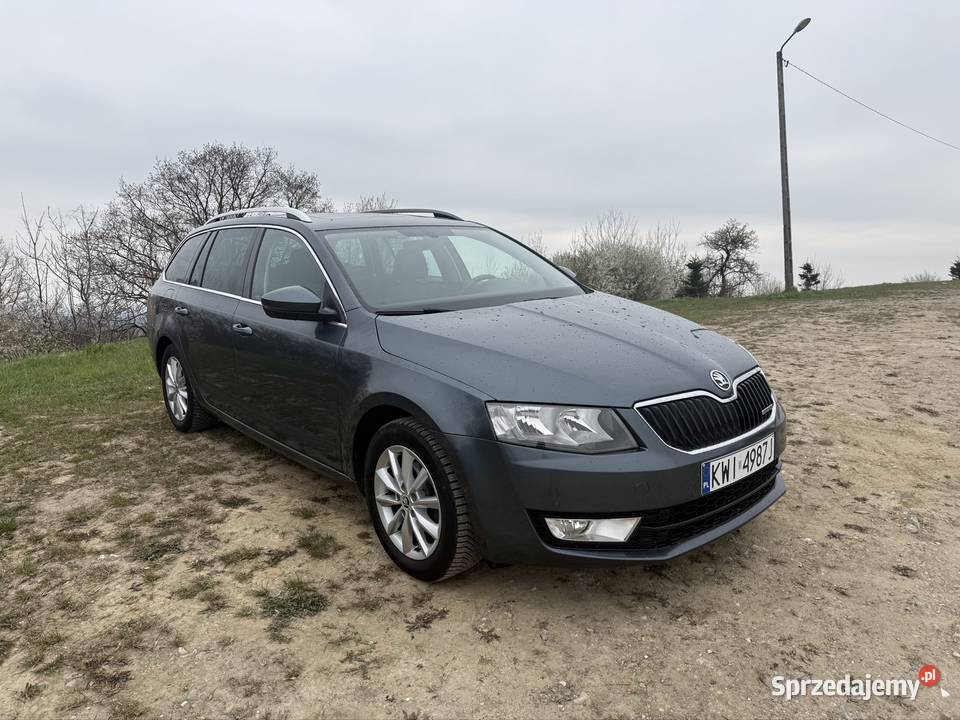 16 TDI Panorama Skóra system Start-Stop Samochody osobowe Kraków