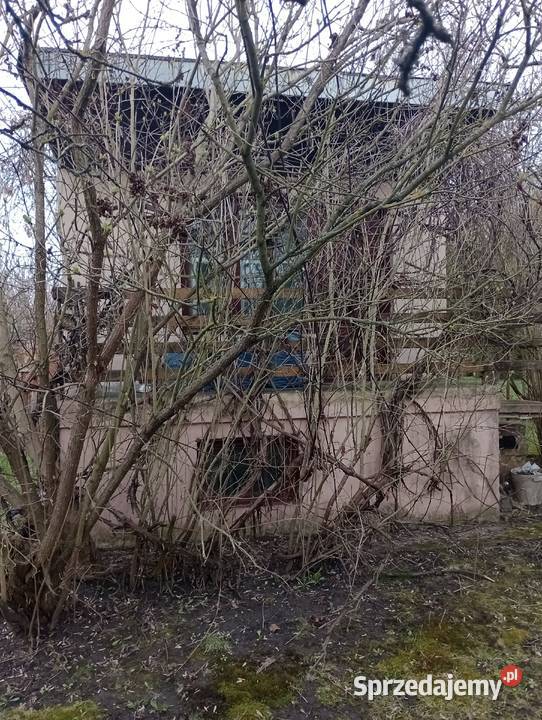 Sprzedam dziłkę ROD MAGNOLIA 300m2 Kielce