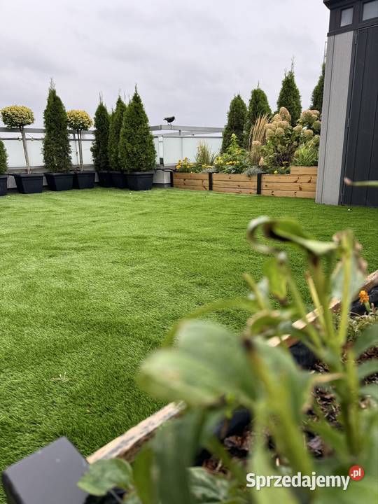 Trawa ogród piękny trawnik sztuczna trawa Wrocław sprzedam